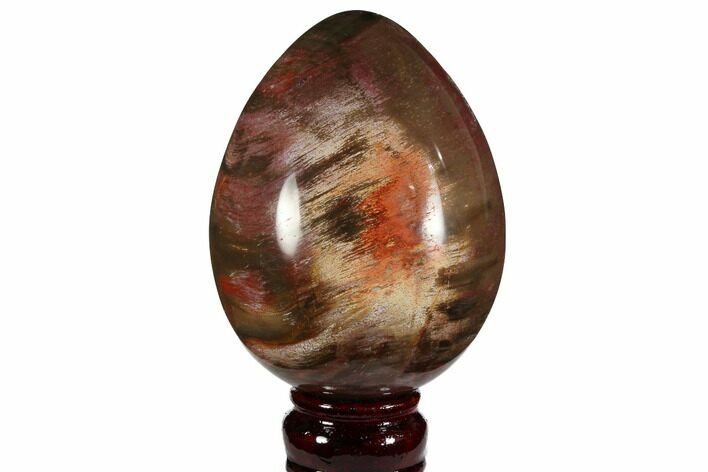 Colorful, Polished Petrified Wood Egg - Triassic #111030